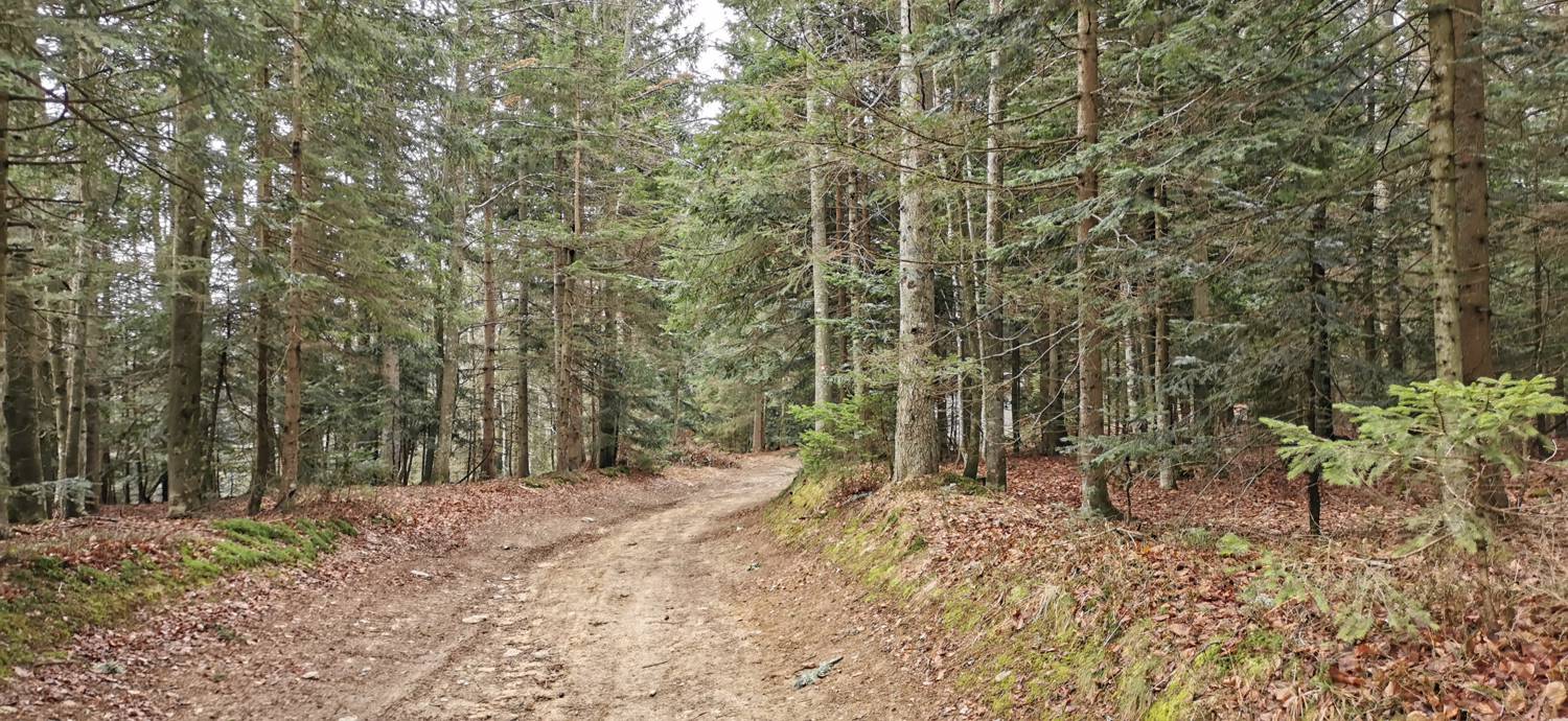 Mariborska koča - Ruska koča na Arehu slika 15
