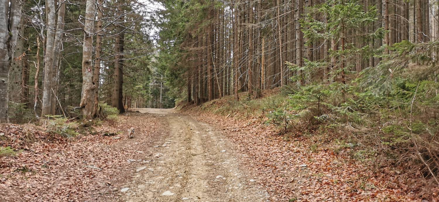 Mariborska koča - Ruska koča na Arehu slika 20