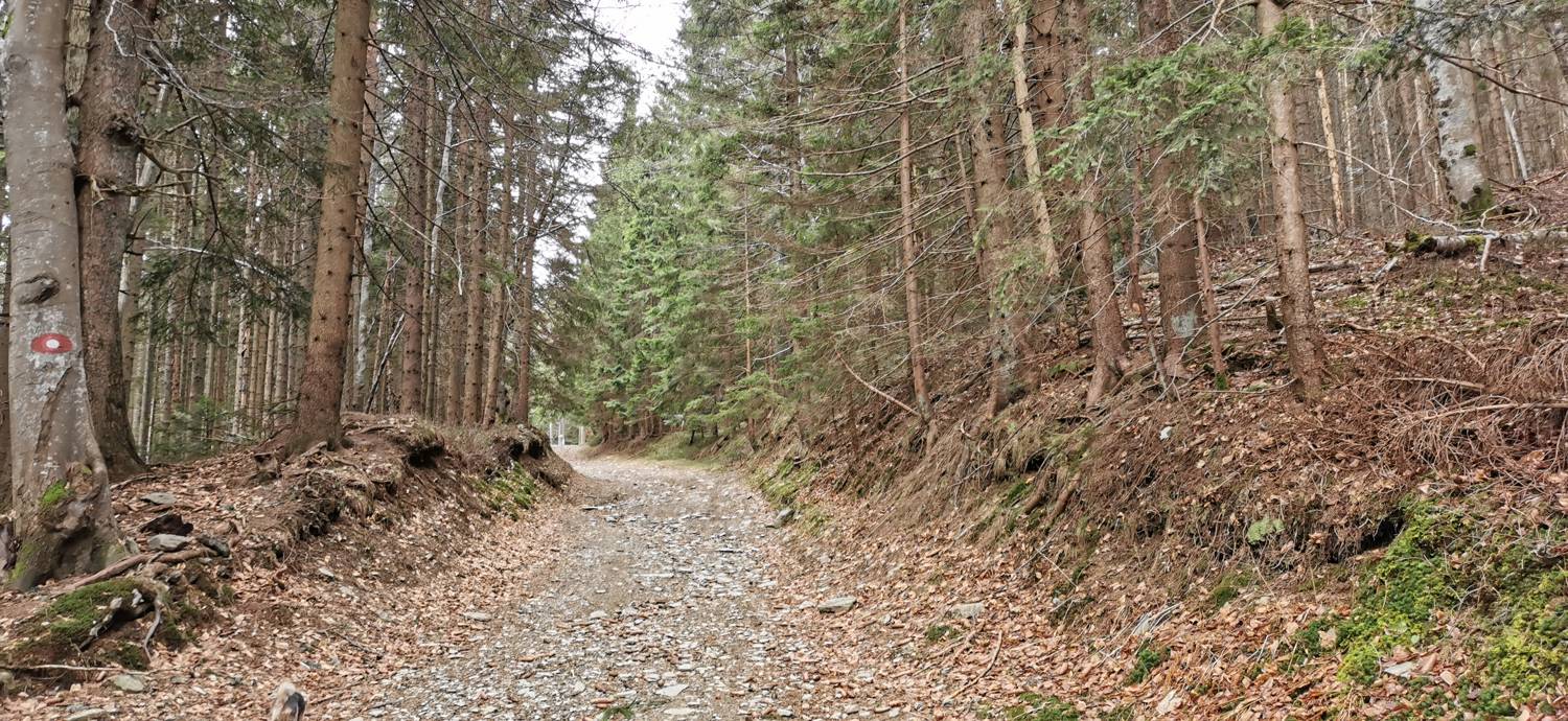 Mariborska koča - Ruska koča na Arehu slika 21