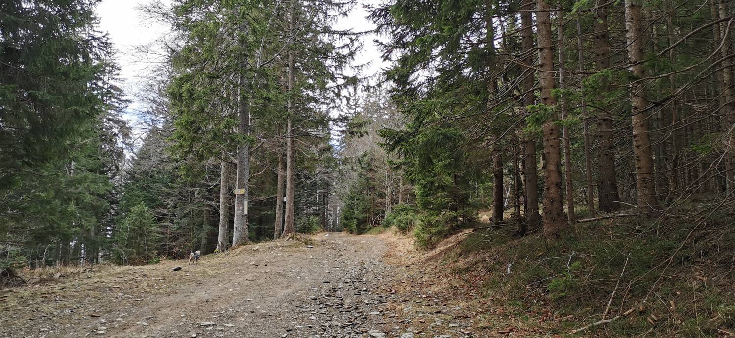 Mariborska koča - Ruska koča na Arehu slika 22