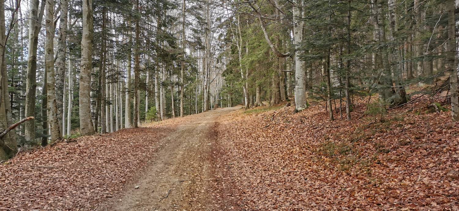 Mariborska koča - Ruska koča na Arehu slika 23