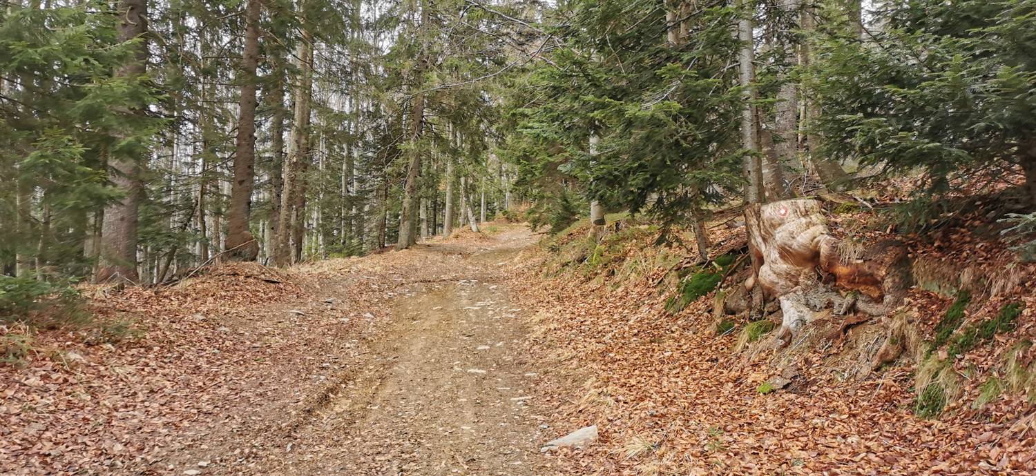 Mariborska koča - Ruska koča na Arehu slika 24