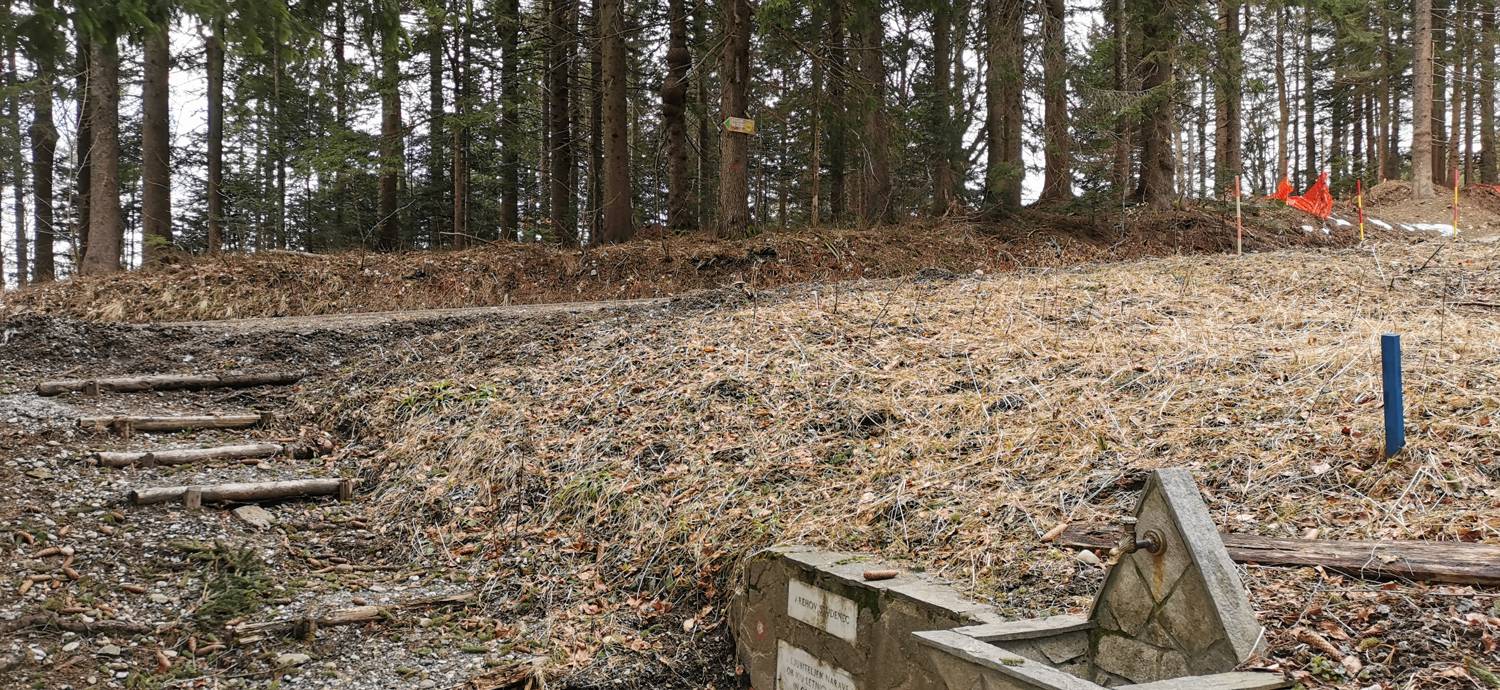 Mariborska koča - Ruska koča na Arehu slika 34