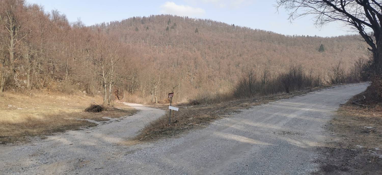 Cvetrež main photo