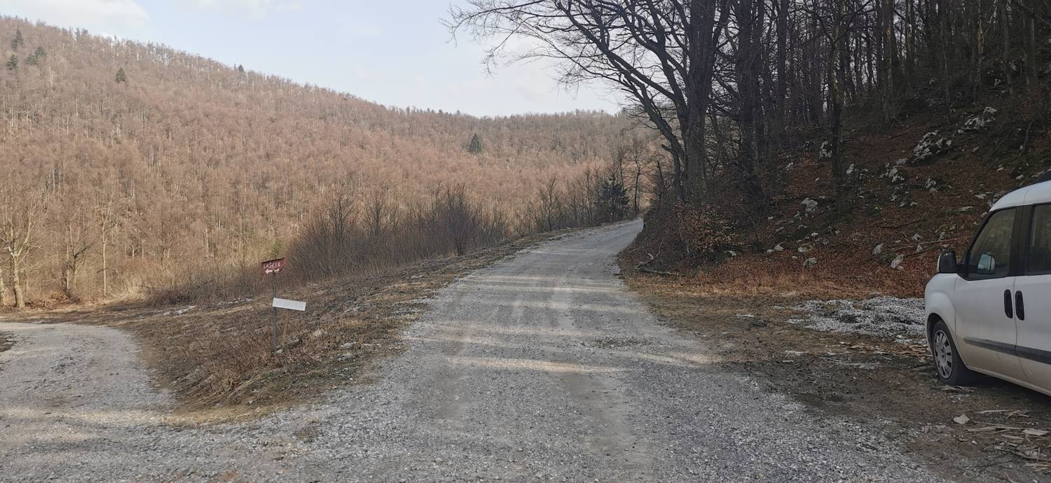 Cvetrež - Lašček slika 2