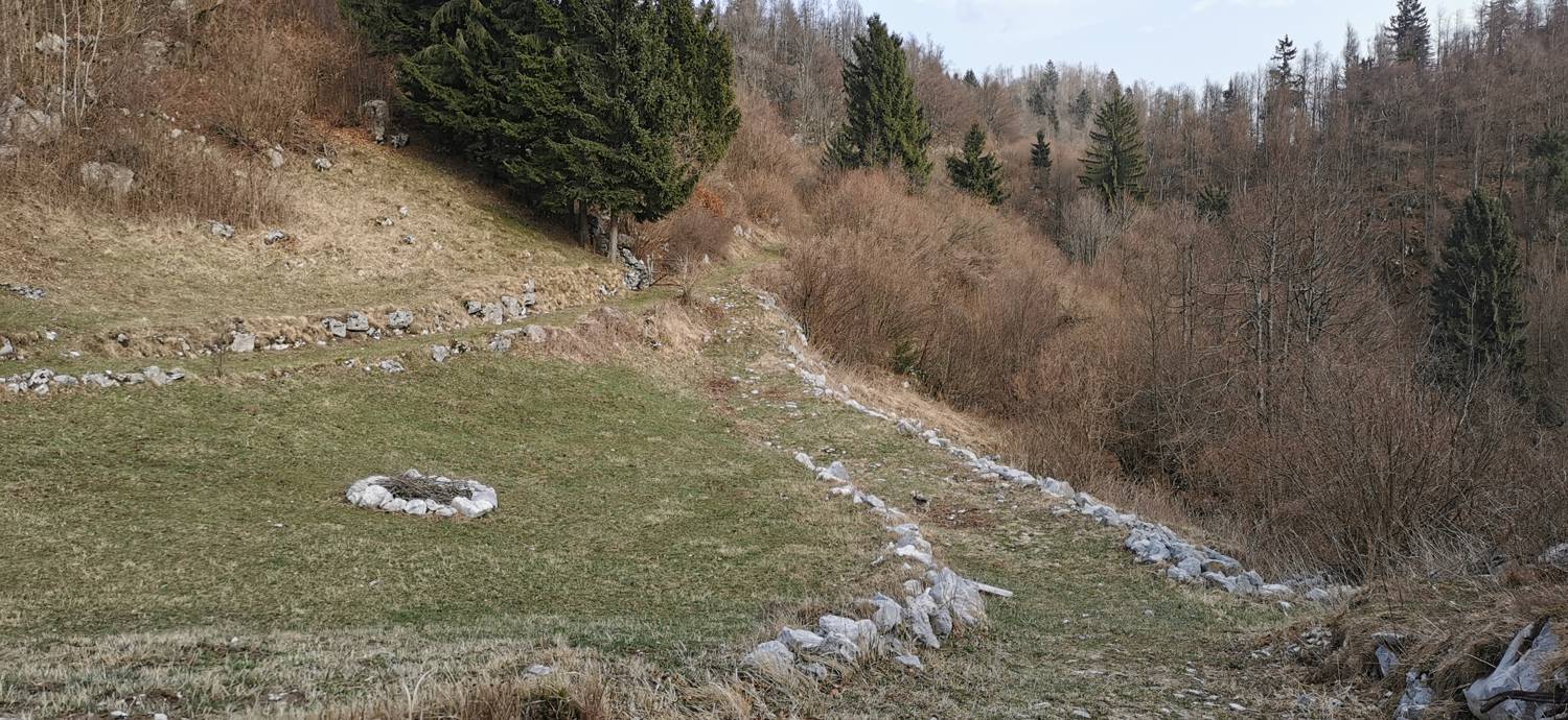 Cvetrež - Lašček slika 14
