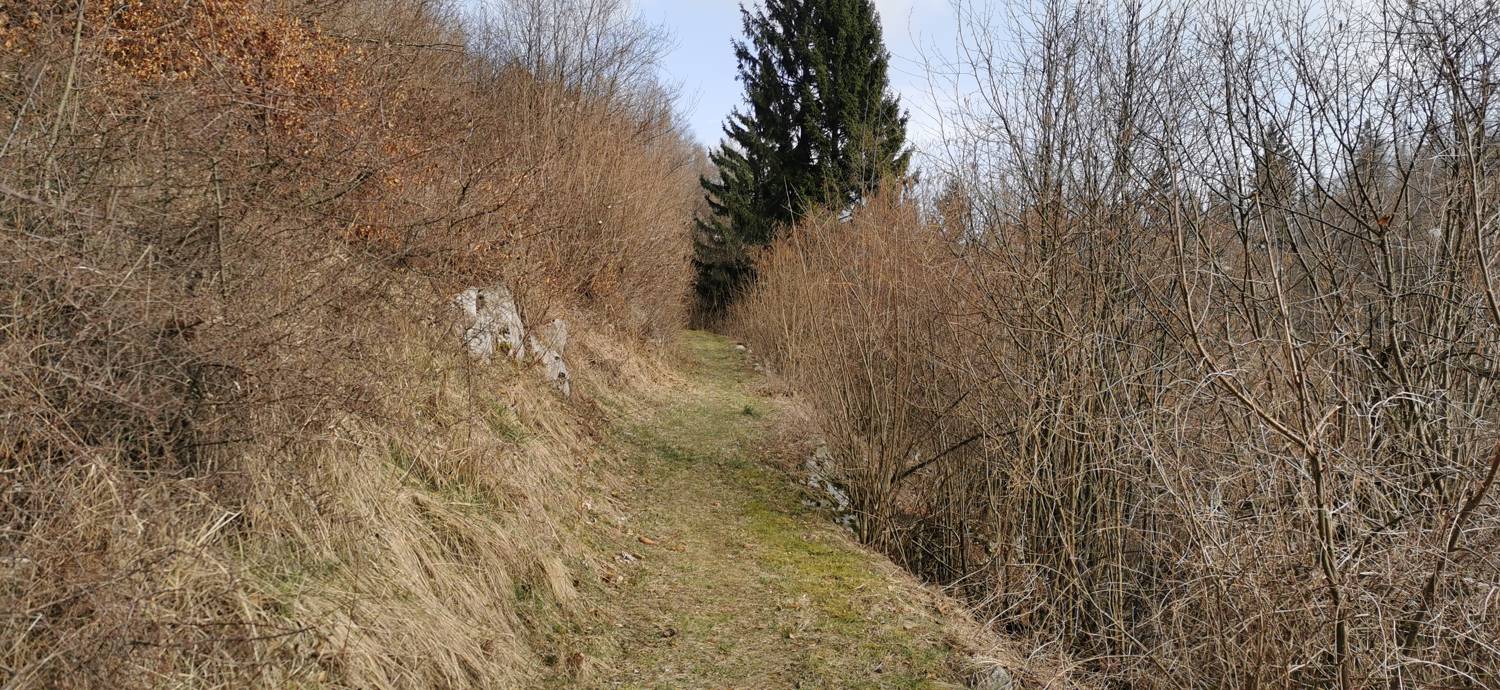 Cvetrež - Lašček slika 15