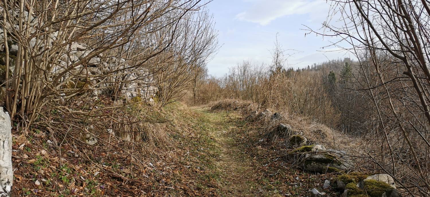 Cvetrež - Lašček slika 18