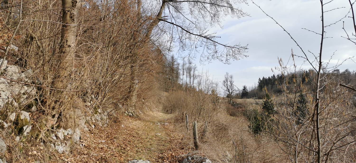 Cvetrež - Lašček slika 19