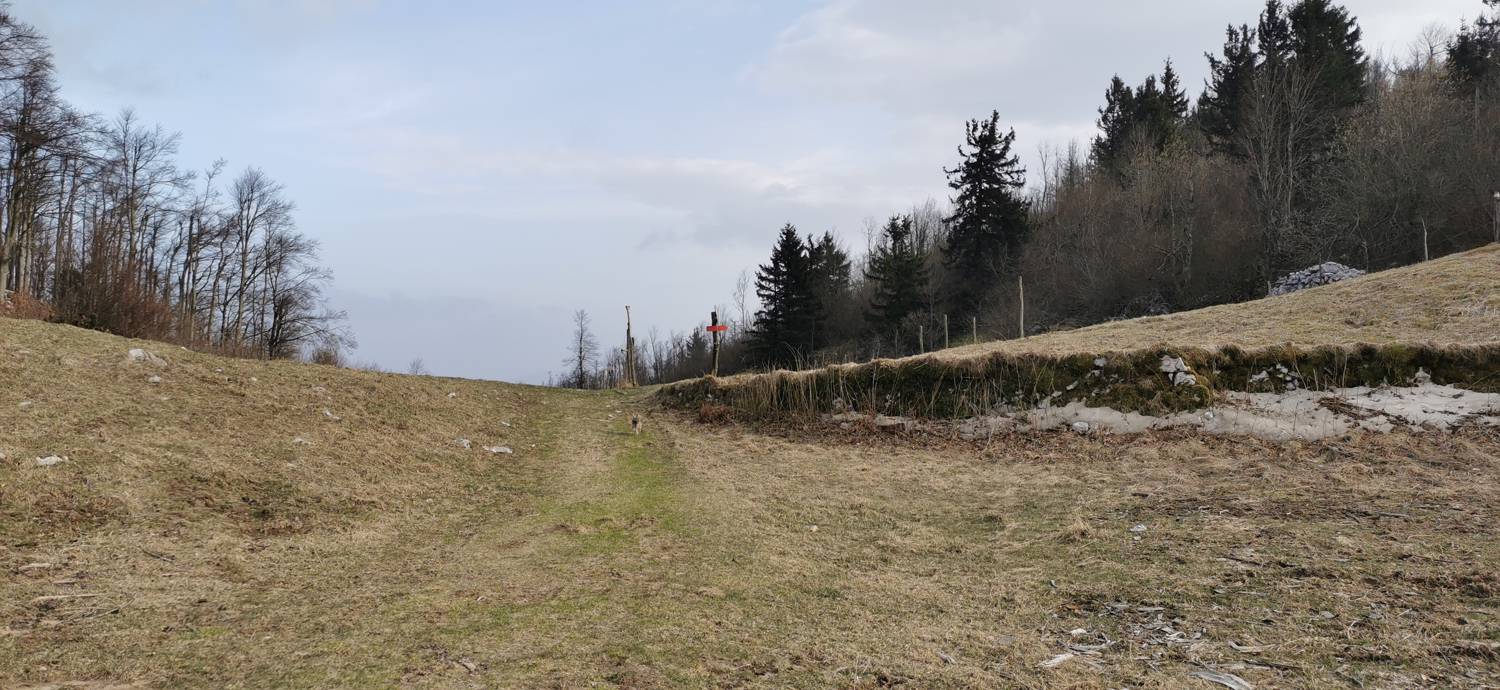 Cvetrež - Lašček slika 21