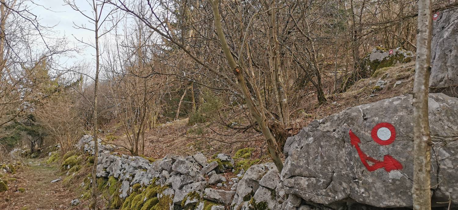 Cvetrež - Lašček slika 25