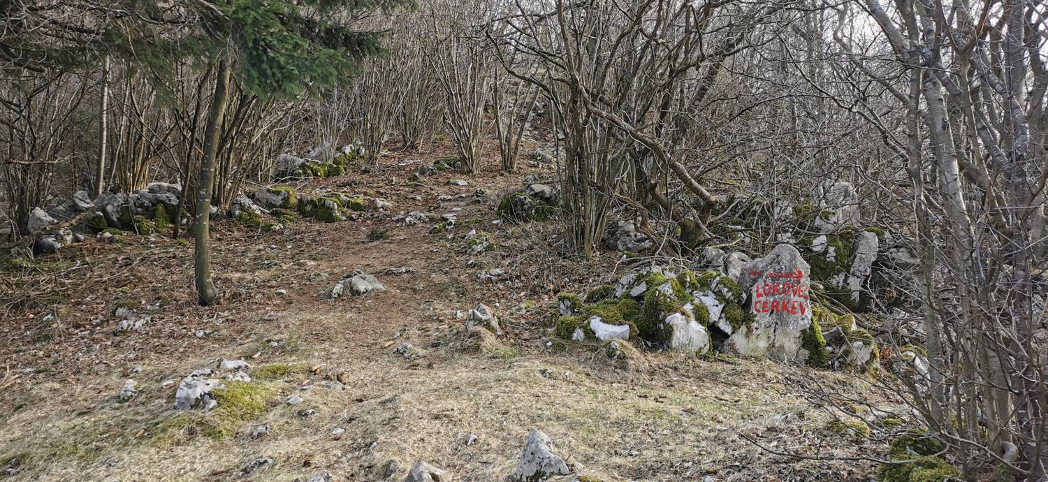 Cvetrež - Lašček slika 26