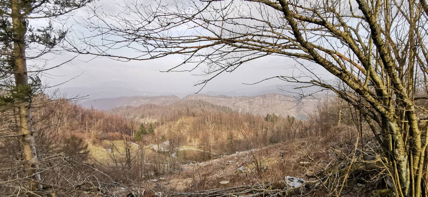 Cvetrež - Lašček slika 28