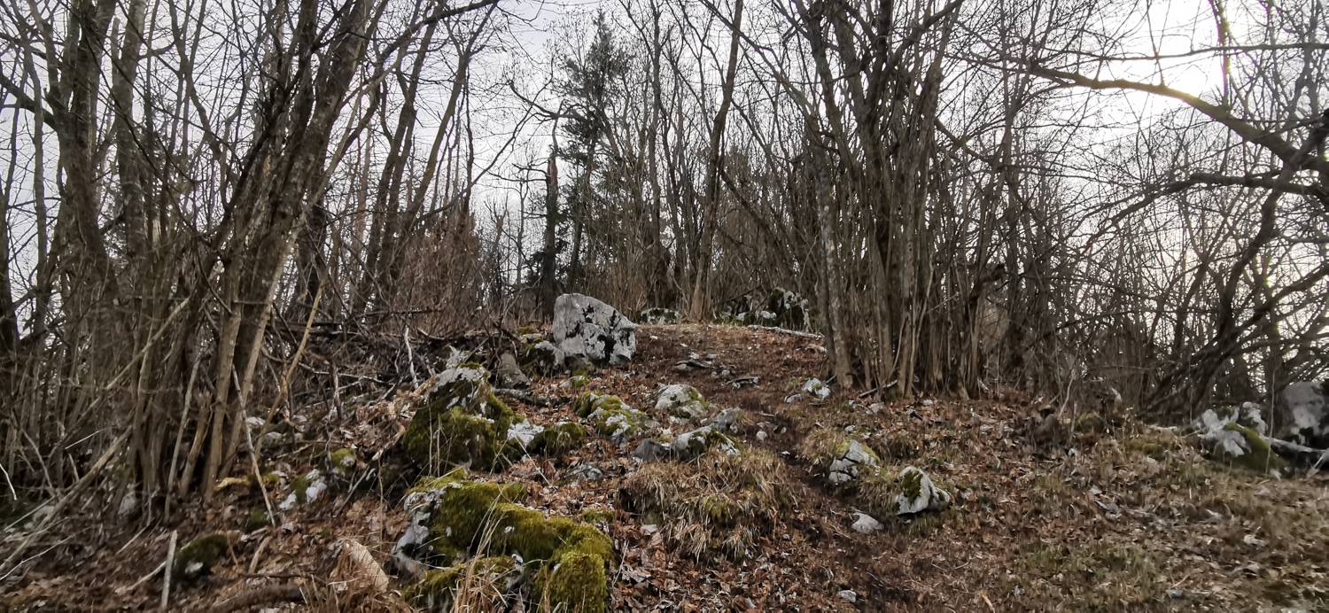 Cvetrež - Lašček slika 29