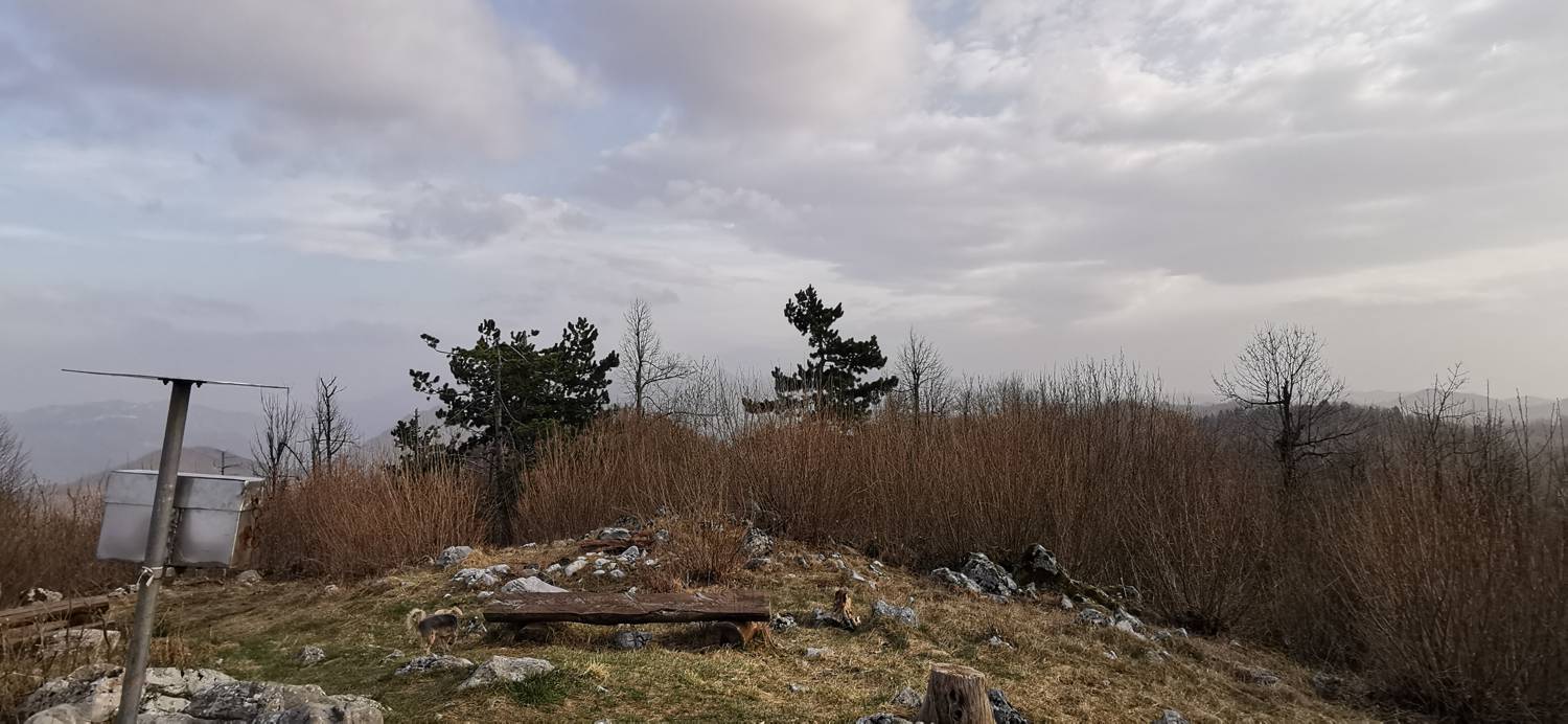 Cvetrež - Lašček slika 33
