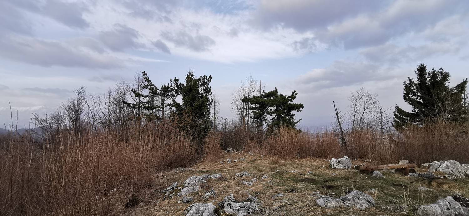 Cvetrež - Lašček slika 34