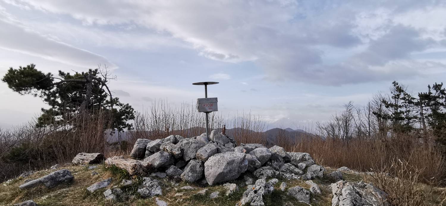 Cvetrež - Lašček slika 35