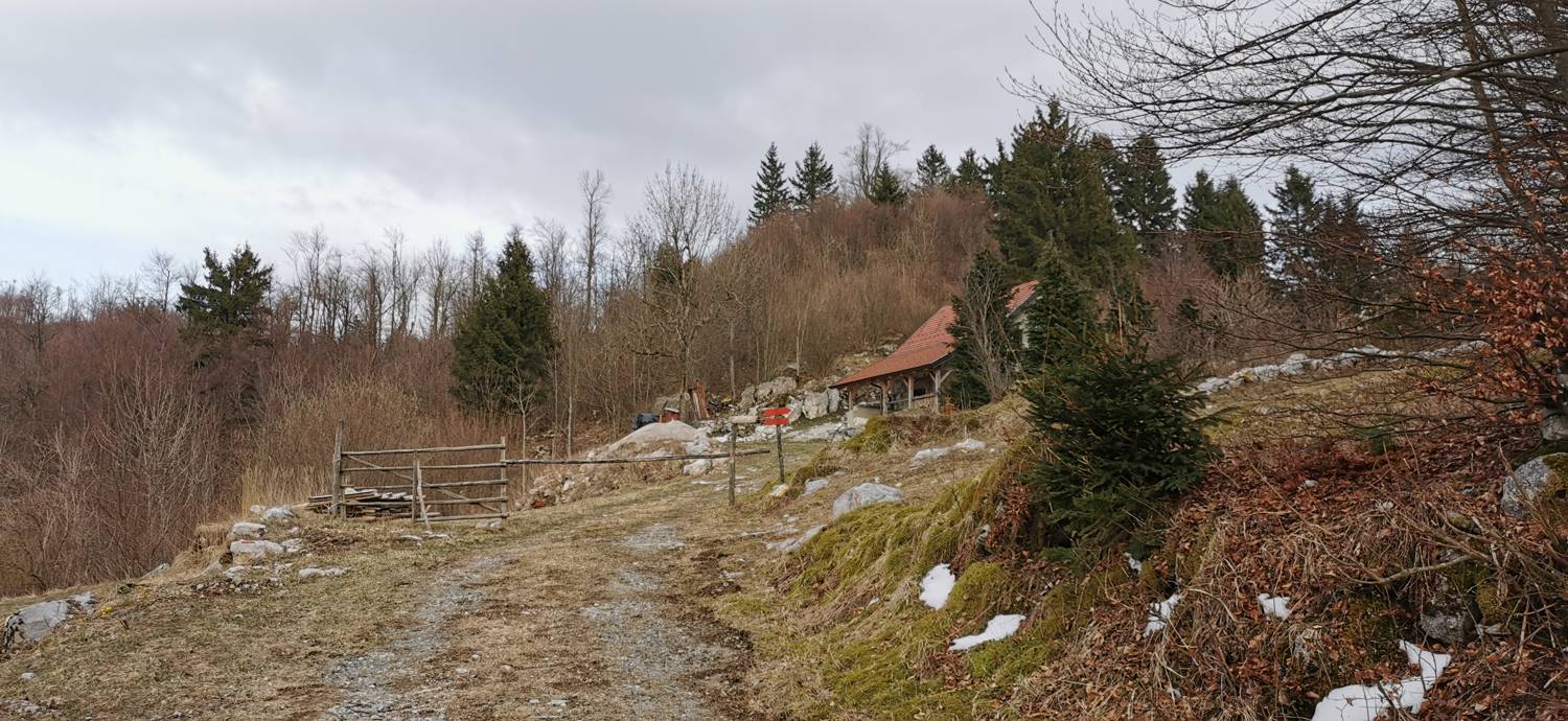 Cvetrež - Lašček slika 12