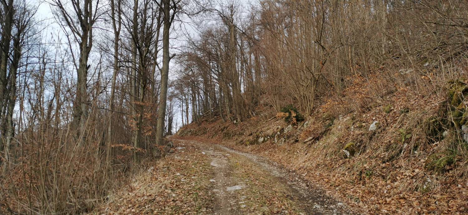 Cvetrež - Lašček slika 11
