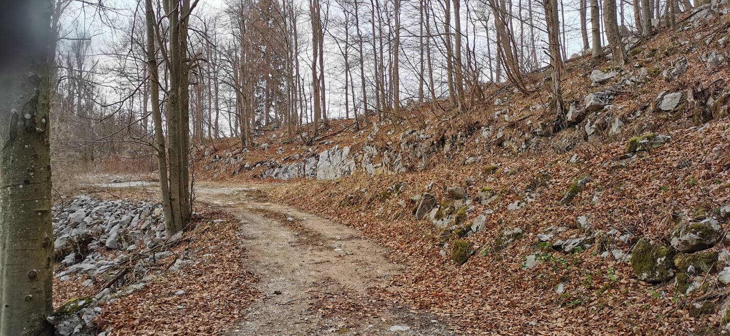 Cvetrež - Lašček slika 10