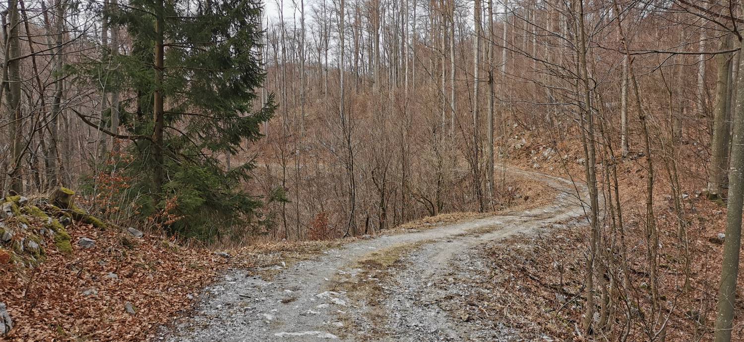 Cvetrež - Lašček slika 9