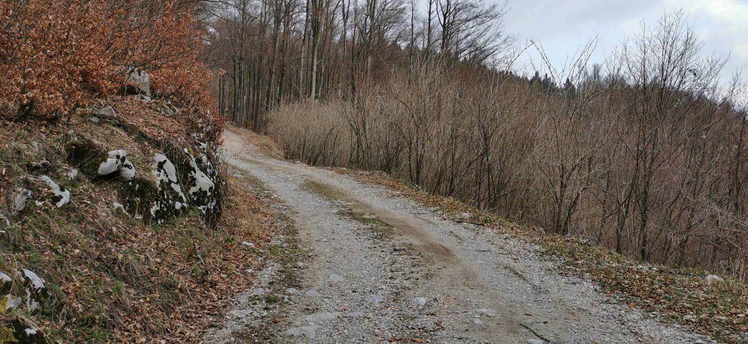 Cvetrež - Lašček slika 6