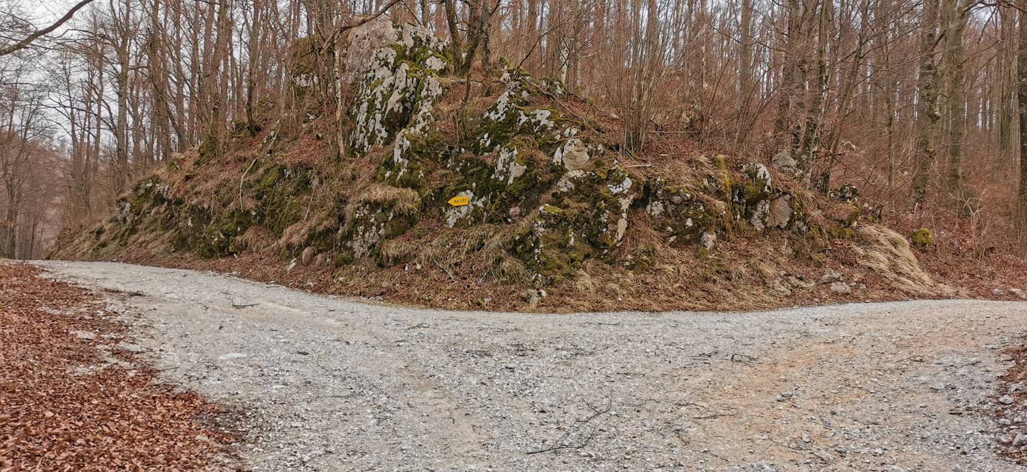 Cvetrež - Lašček slika 5