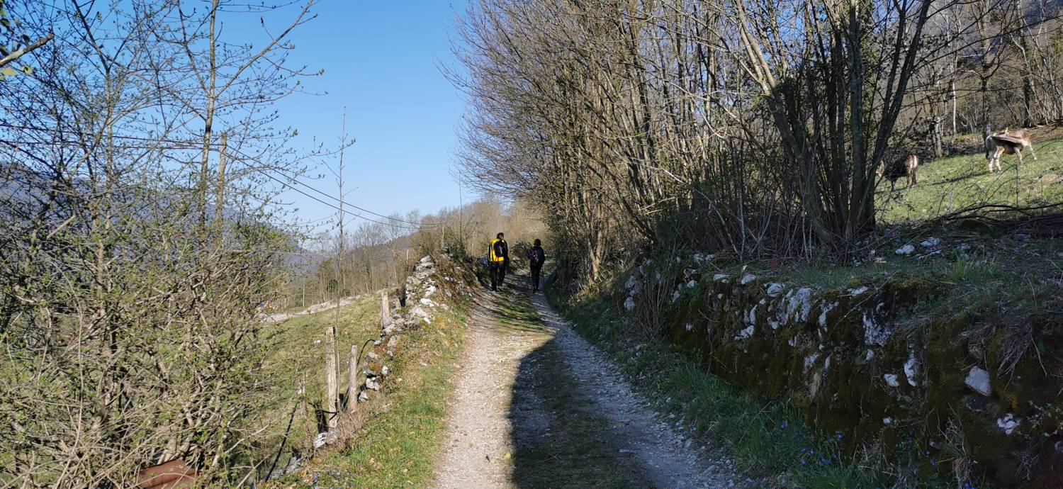 Gabrje - Planina Pretovč slika 3