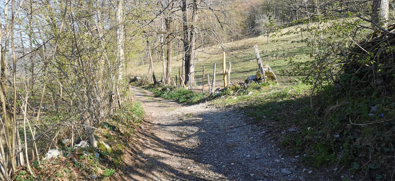 Gabrje - Planina Pretovč slika 4