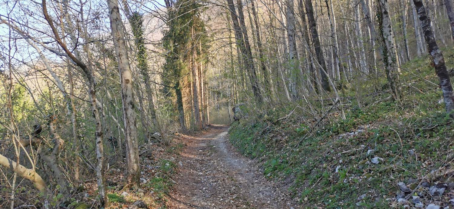 Gabrje - Planina Pretovč slika 5
