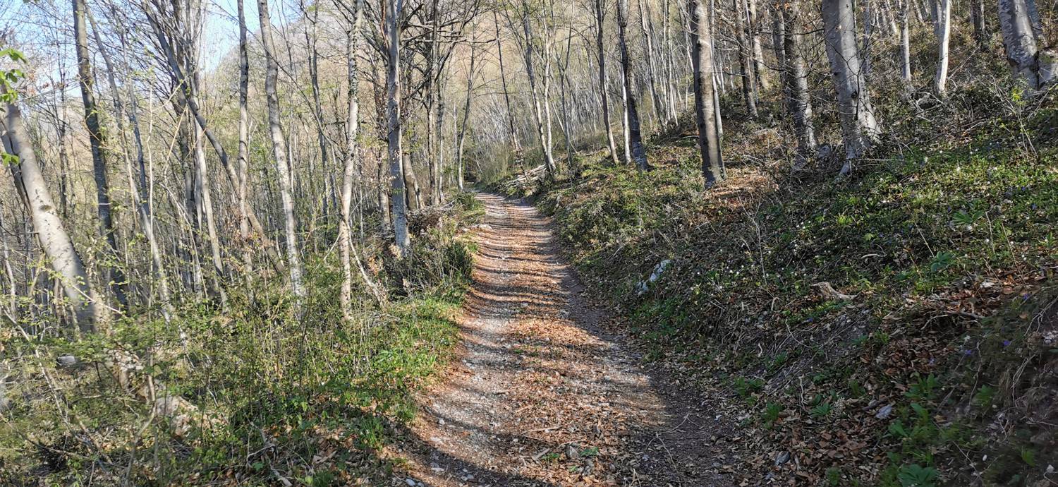 Gabrje - Planina Pretovč slika 6