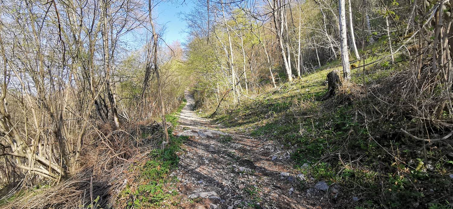 Gabrje - Planina Pretovč slika 8