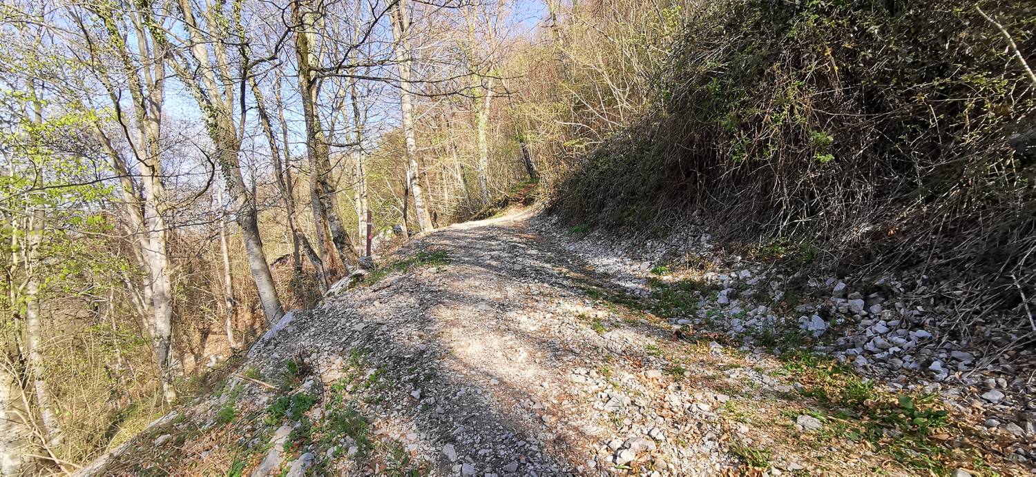 Gabrje - Planina Pretovč slika 9