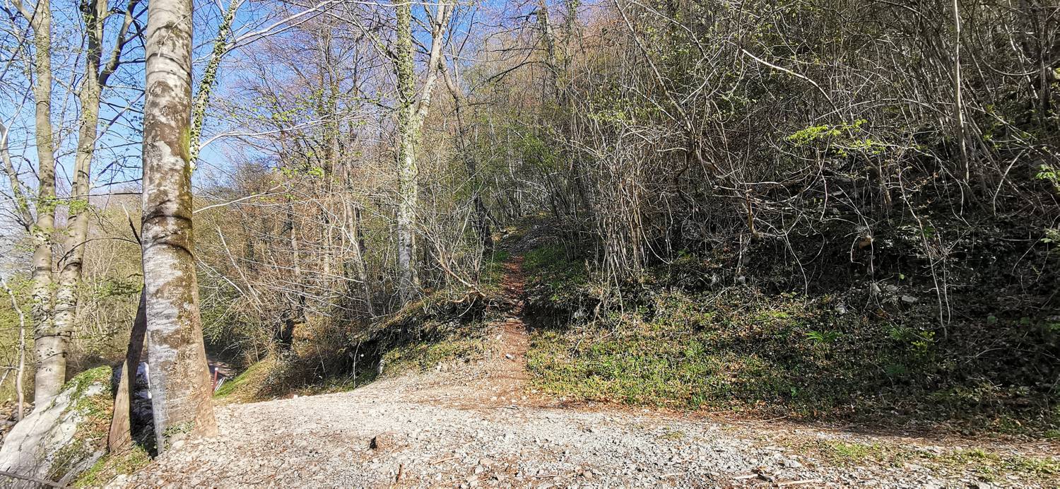 Gabrje - Planina Pretovč slika 10