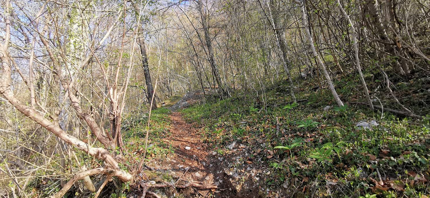 Gabrje - Planina Pretovč slika 11