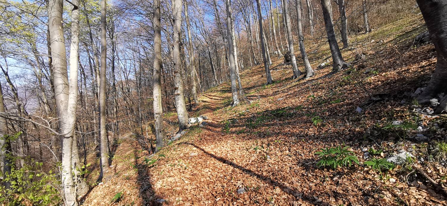 Gabrje - Planina Pretovč slika 13