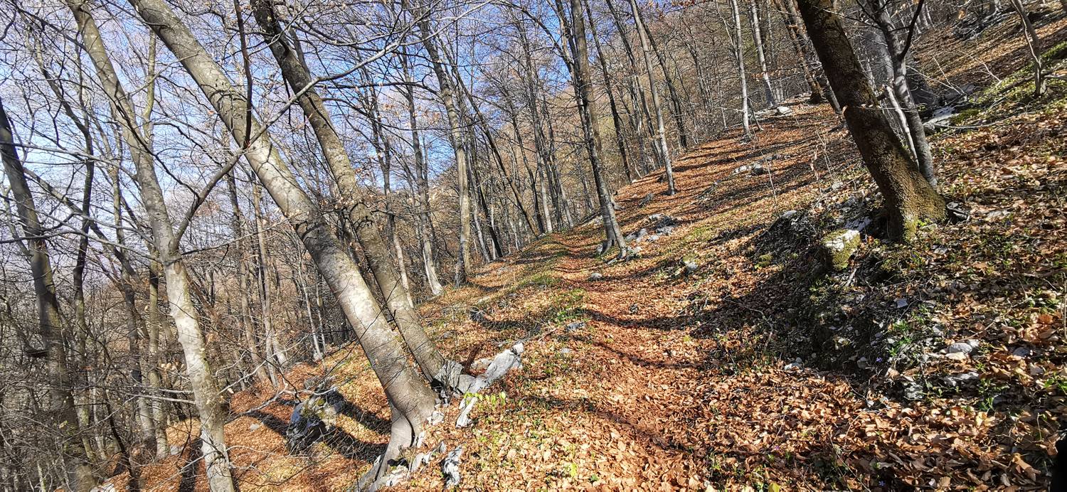 Gabrje - Planina Pretovč slika 14