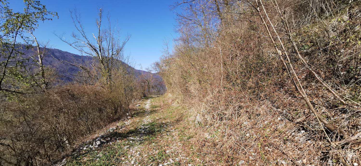 Gabrje - Planina Pretovč slika 16