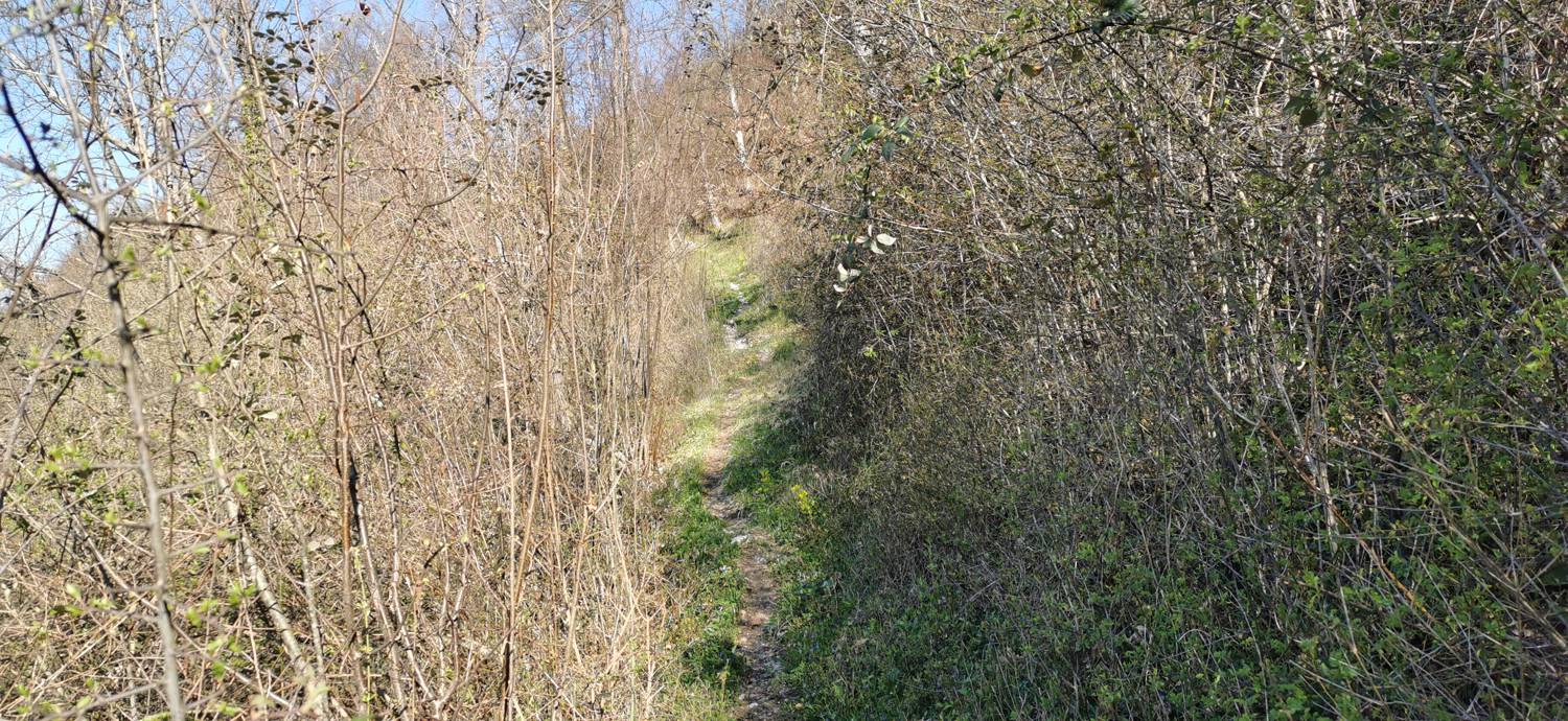 Gabrje - Planina Pretovč slika 18