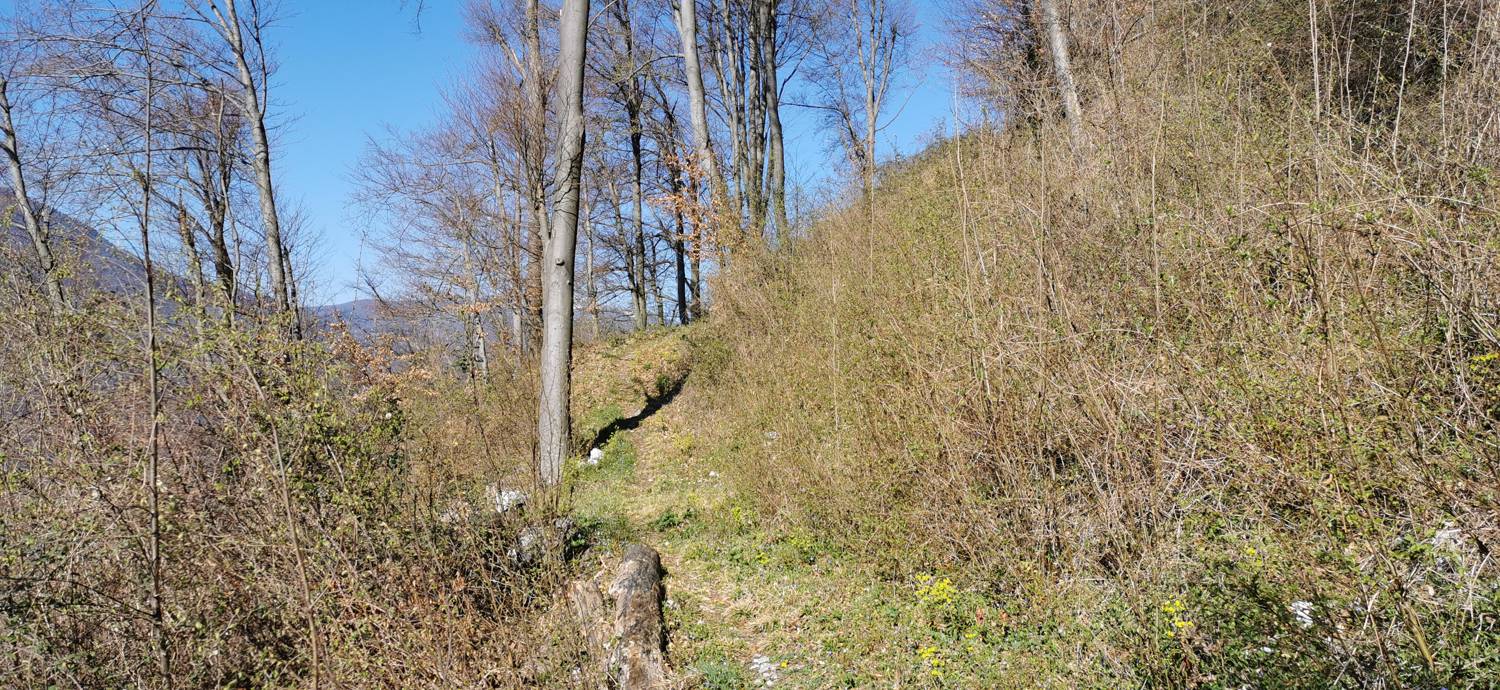 Gabrje - Planina Pretovč slika 19