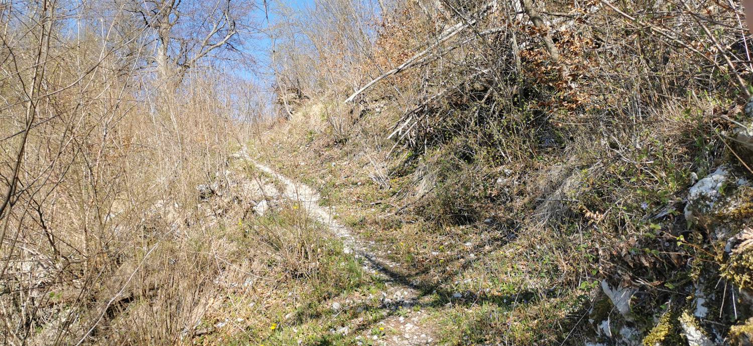 Gabrje - Planina Pretovč slika 20