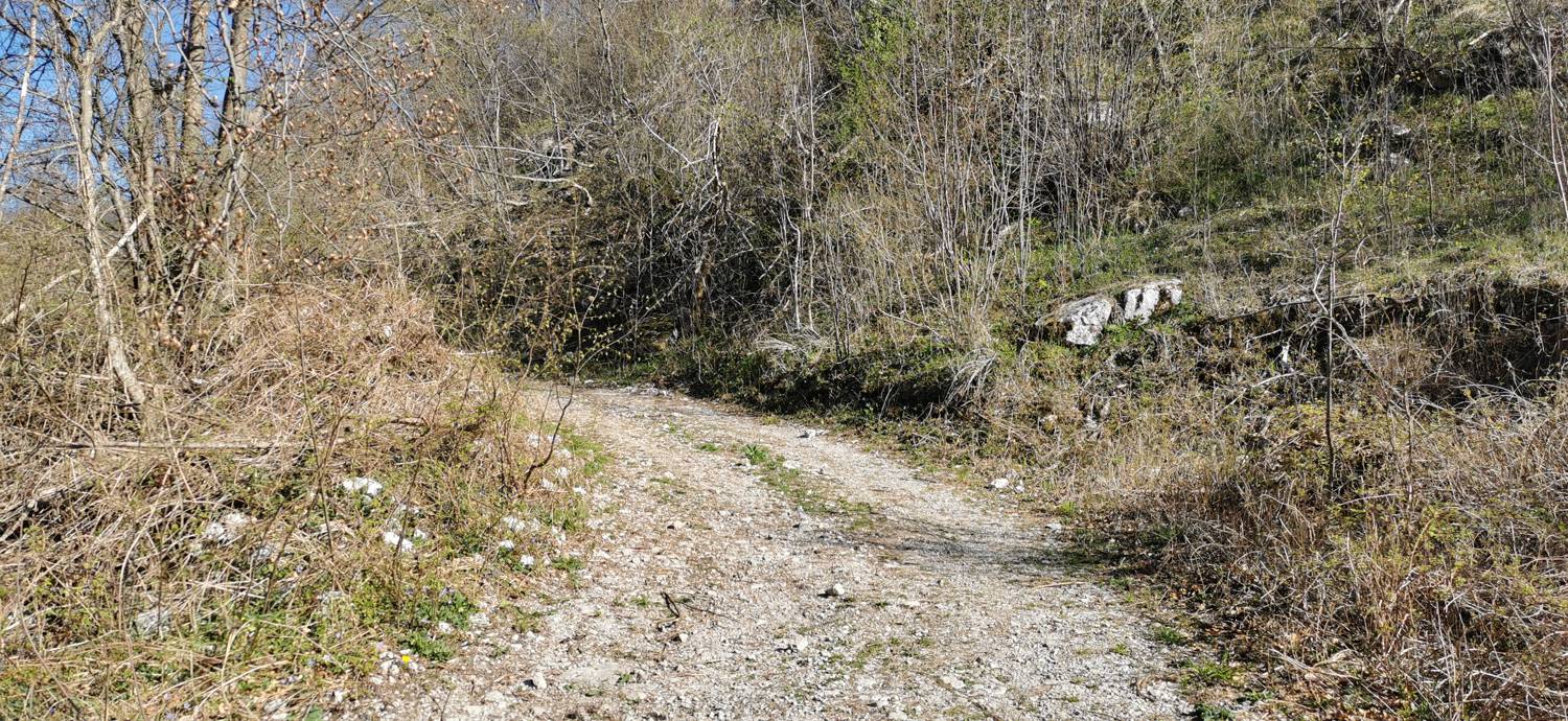 Gabrje - Planina Pretovč slika 22