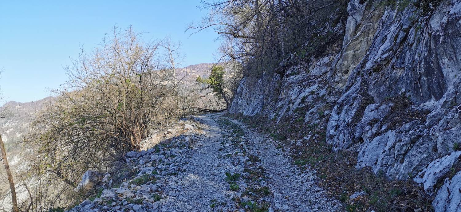 Gabrje - Planina Pretovč slika 23