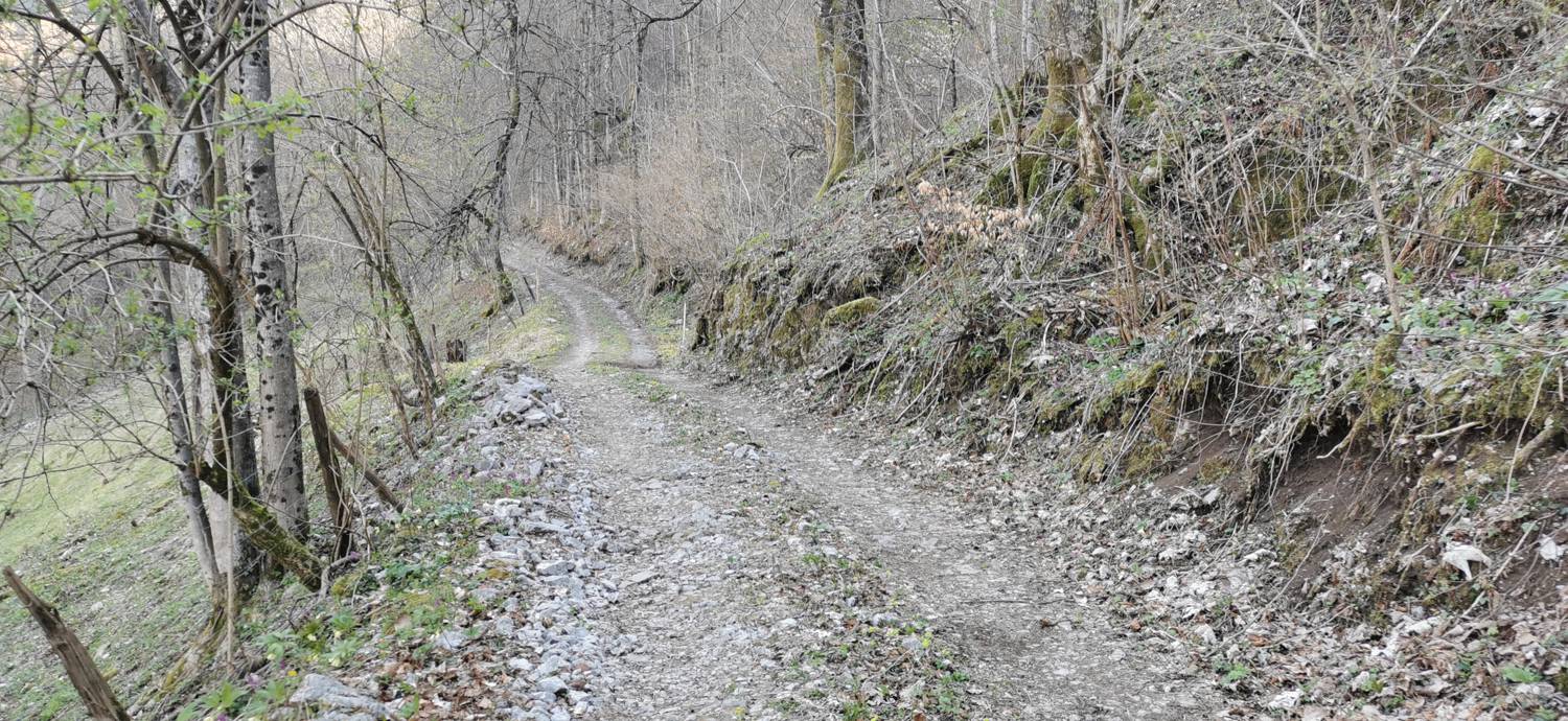 Gabrje - Planina Pretovč slika 24