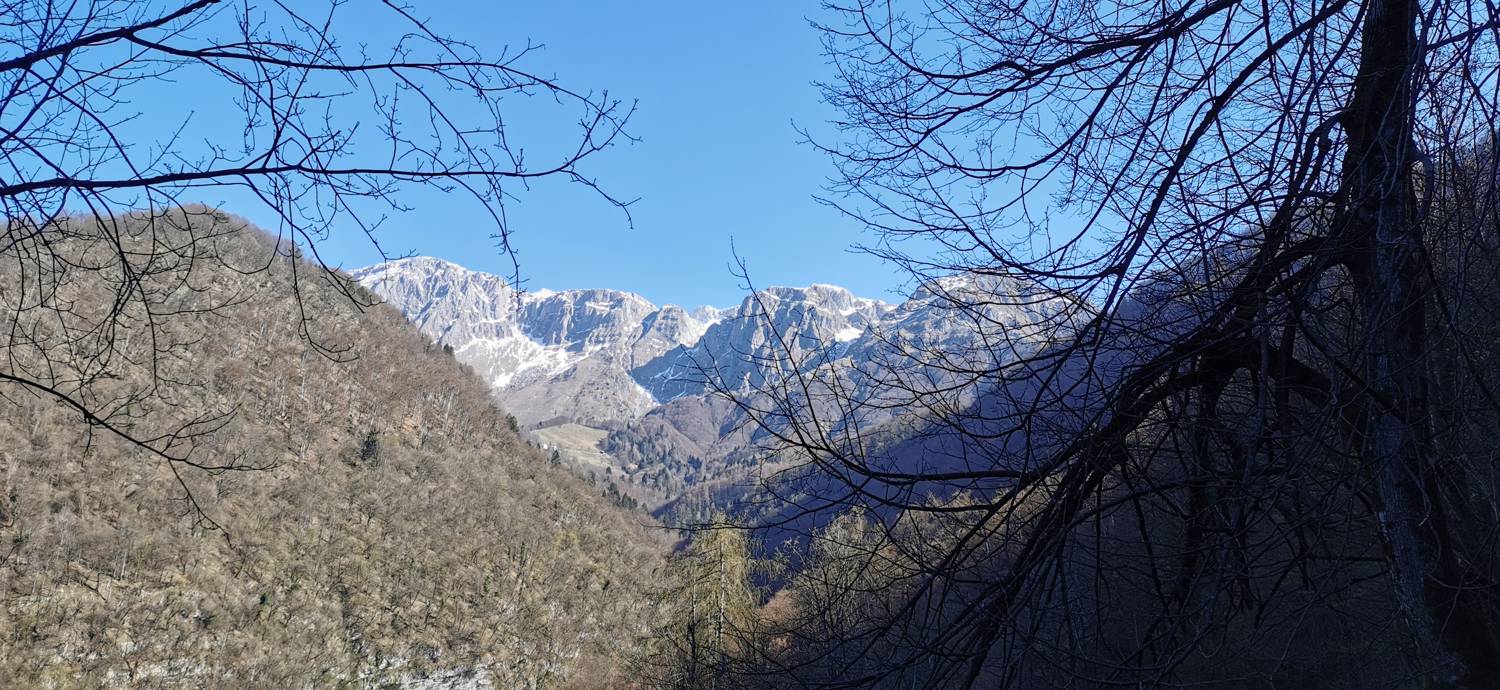 Gabrje - Planina Pretovč slika 25
