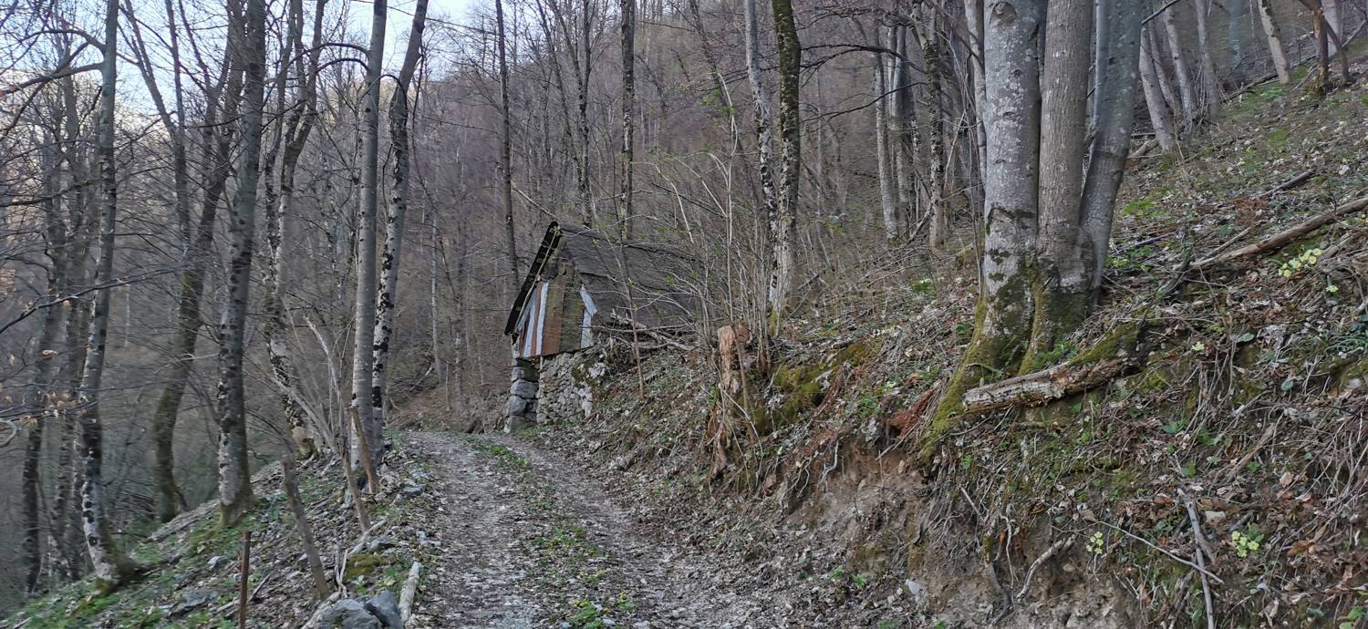 Gabrje - Planina Pretovč slika 26