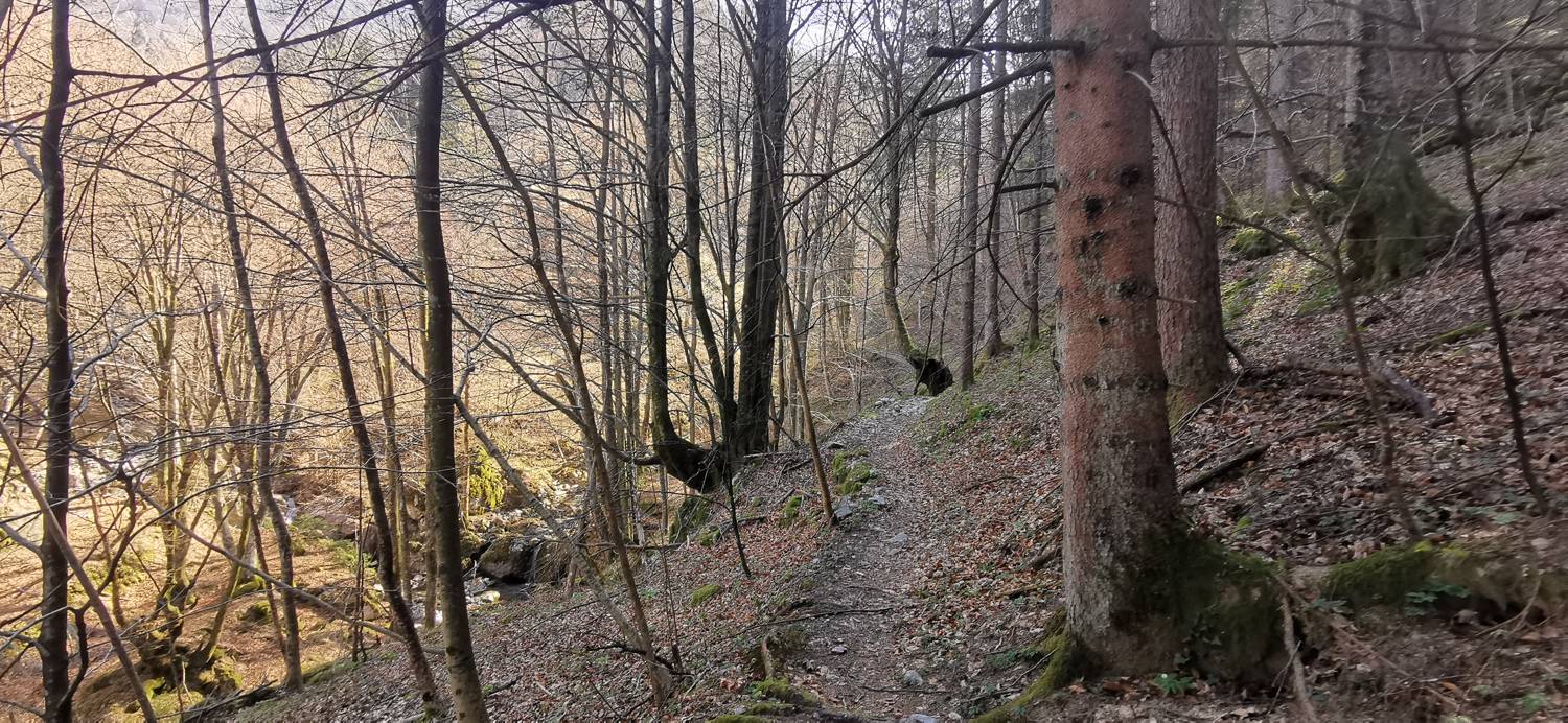 Gabrje - Planina Pretovč slika 27