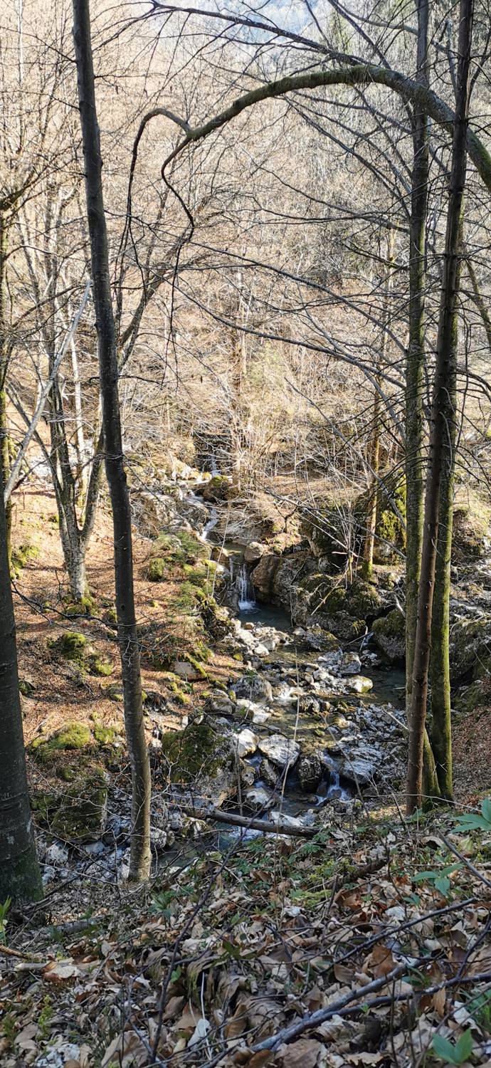 Gabrje - Planina Pretovč slika 28