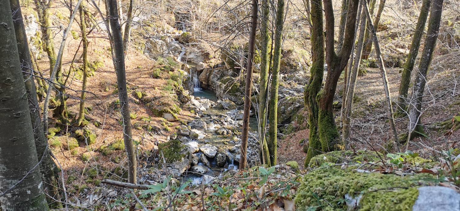 Gabrje - Planina Pretovč slika 29