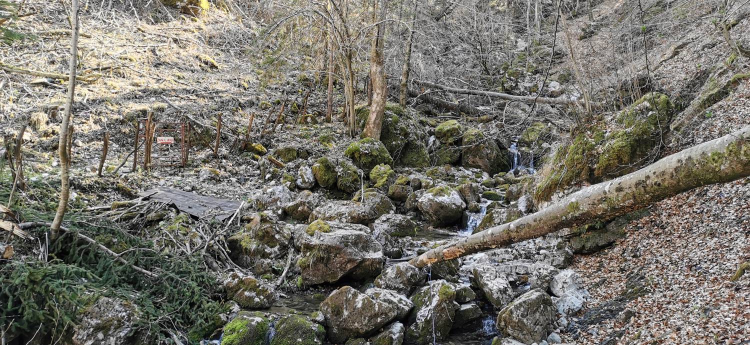 Gabrje - Planina Pretovč slika 30